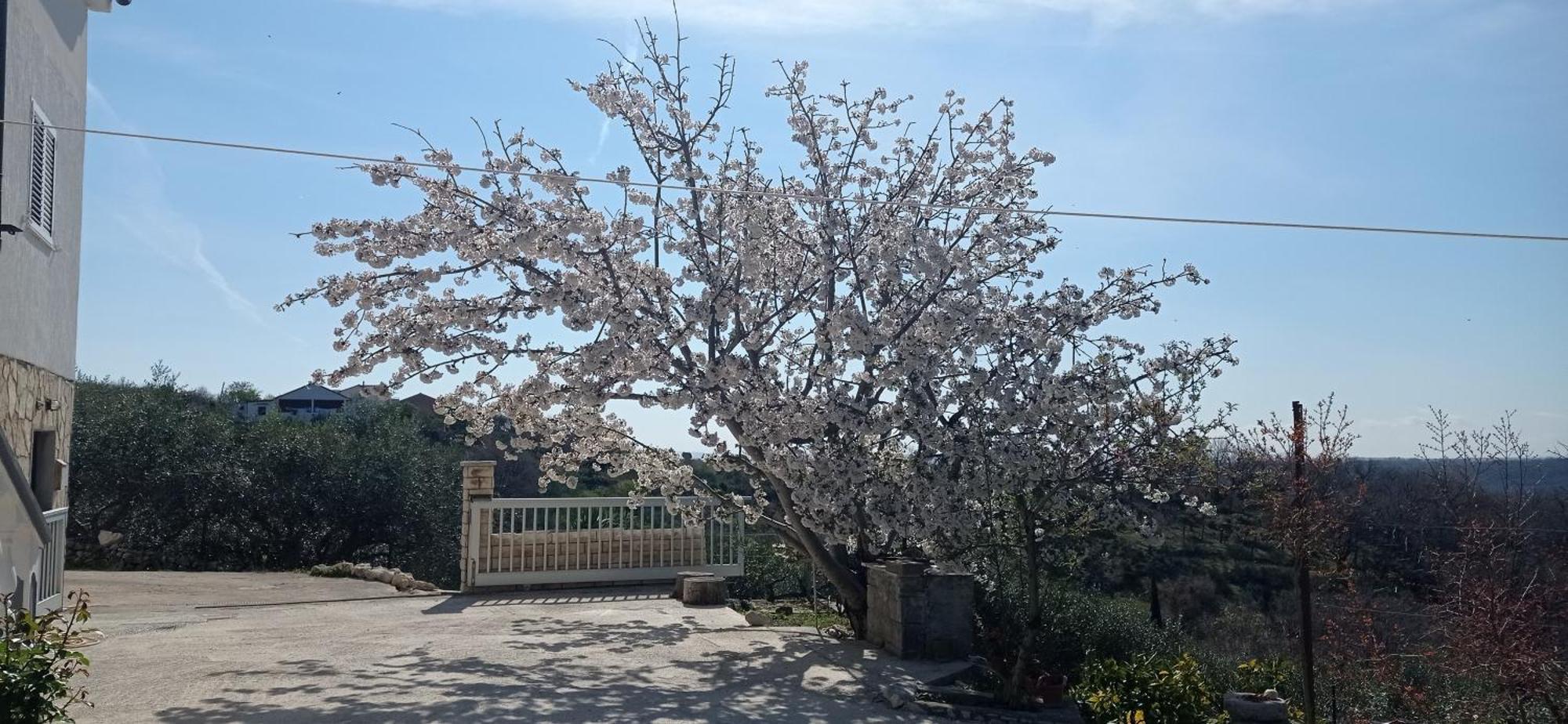 Apartman Tina Ražanac Exterior foto